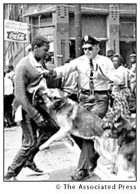 police_dogs_1963.jpg 