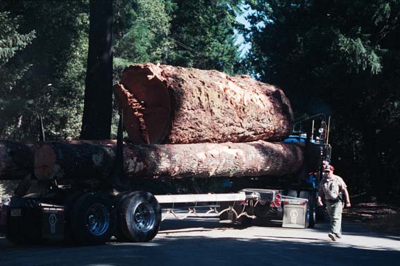 logtruck.jpg 