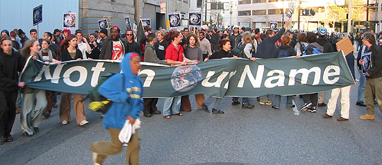 nion_banner.jpgj11941.jpg 