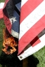 120_flag_burning0.jpg