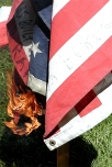 200_flag_burning0.jpg