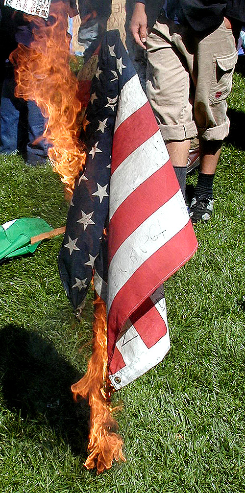 flag_burning1.jpg 