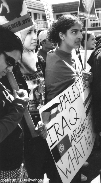 palestineiraq.jpg 