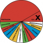200_truemajorityfedbudgetpie_sm.jpg