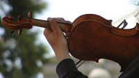 200_violin.jpg 