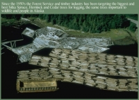 200_log_barges.jpg