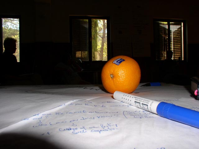 15_p1010095_orange_small.jpg 