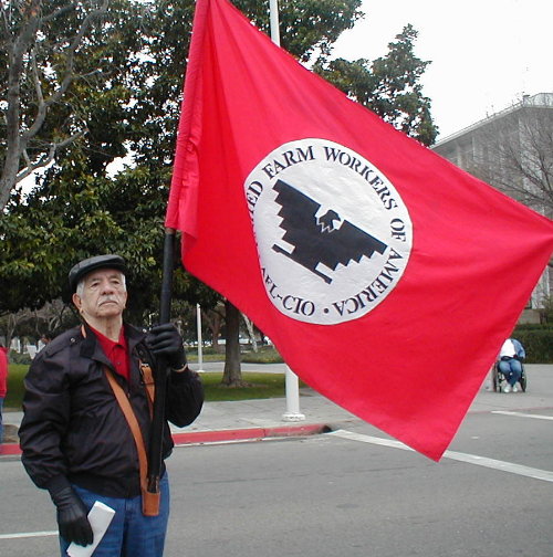 ufw.jpg 