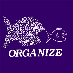 organize_1.jpg 