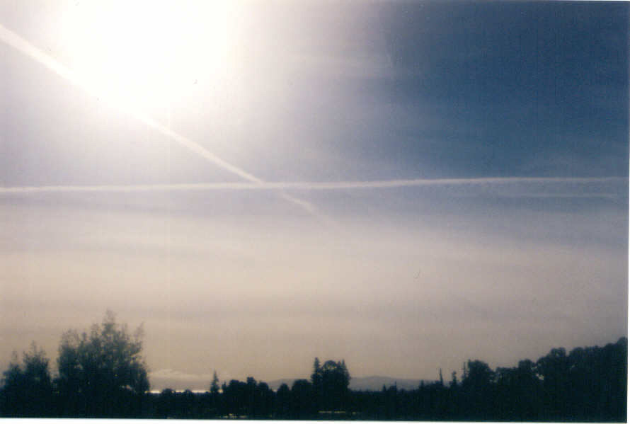 11.jpgdno0o2.jpg 
