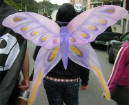 200_butterfly.jpg