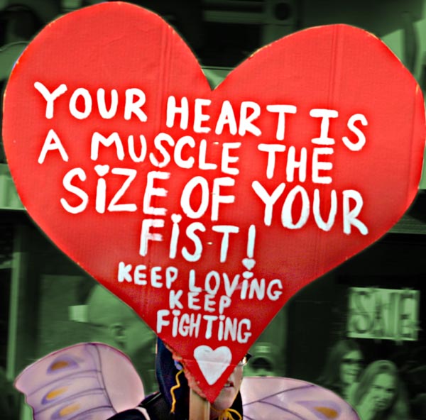 rts_sf_f14_-_heart_muscle.jpg 