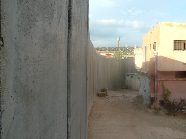 the_20wall_20082.jpg 