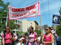 200_7-codepink.jpg