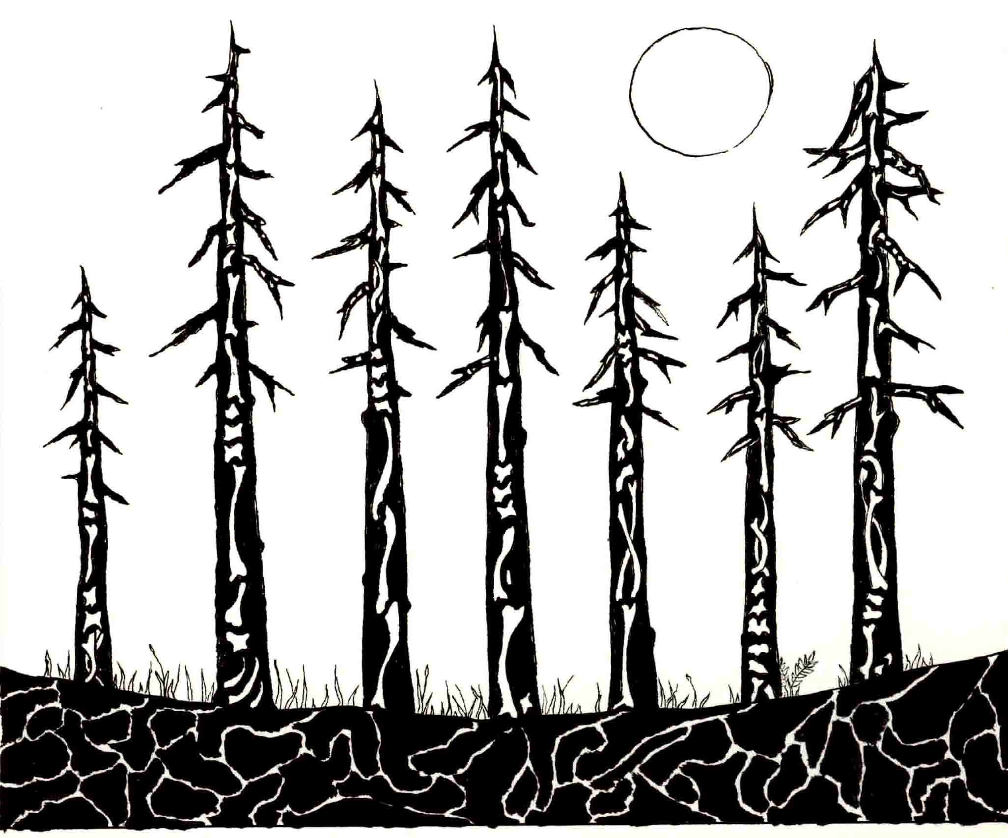 smlforestfire1.jpg 