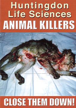 animal_killers.jpg 