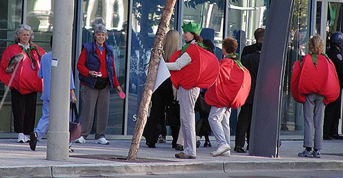 12_dressed_as_tomatoes.jpg 