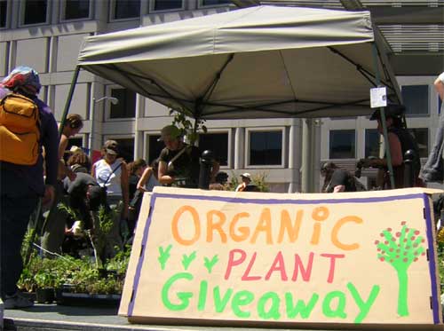 orgplantgiveaway1.jpg 