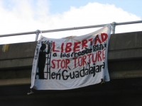 200_stop_torture_en_guadalajara.jpg 