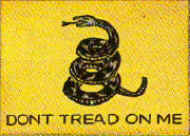 flag2gadsden.jpg 