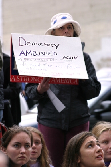 democracy_ambushed.jpg 
