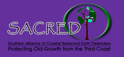 logo_sacred_purple_green1.jpg 
