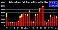 200_low-qual-fish-chart.jpg