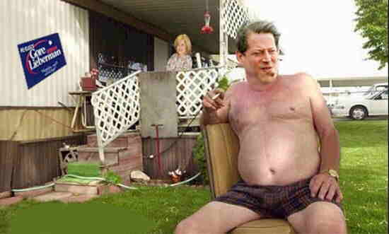 trailerpark_al_gore.jpg 