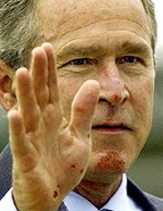 georgebush_bike_fall.jpg 