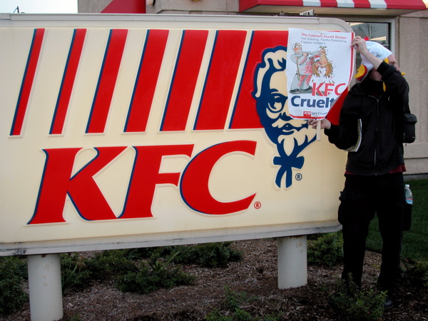 kfccruel_2-12-05.jpg 