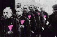 200_pinktriangle.jpg