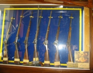200_guns1-sm.jpg