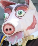 200_16_pig.jpg