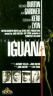 120_nightoftheiguana02.jpg