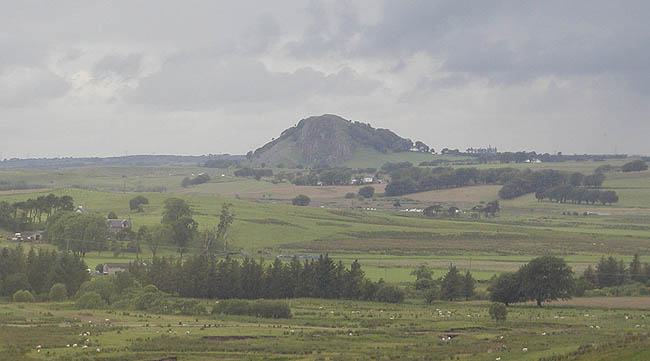 p20.jpg