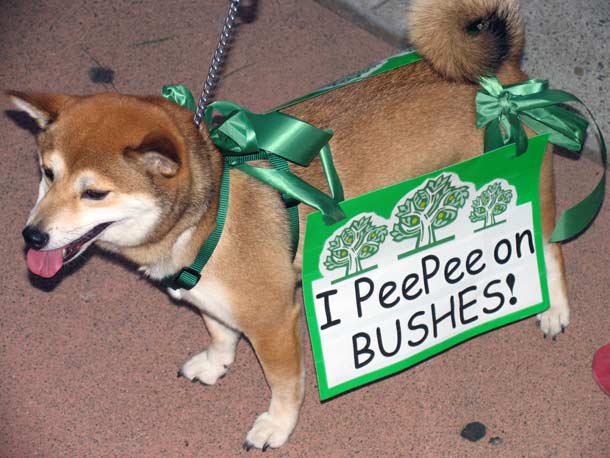 i_pee_pee_on_bushes.jpg 