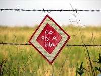 200_5-fly-kite.jpg