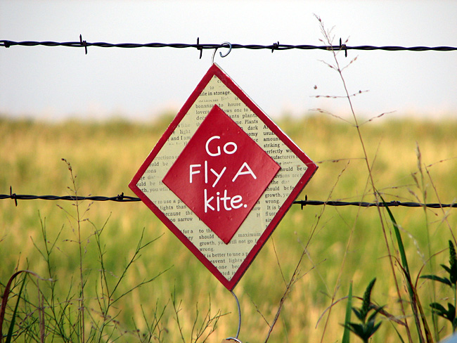 5-fly-kite.jpg 