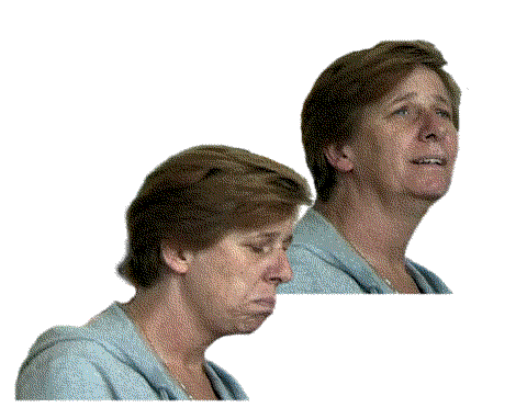 gold_star_mother_cindy_sheehan.png 