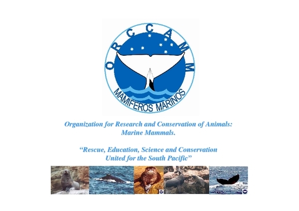 orccamm_presentation_1_.pdf_600_.jpg