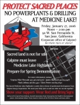 200_medlake-rally-flyer-.jpg