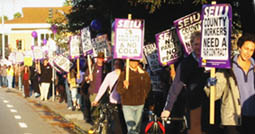 seiu415.jpg 