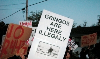 200_gringos_3-17-06.jpg