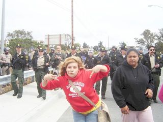 picture_004.jpg