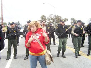 picture_006.jpg
