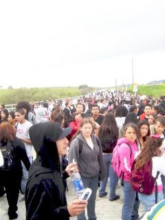 picture_009.jpg