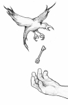 200_bird_and_hand.jpg