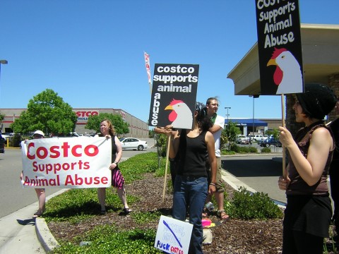 modesto.costco.demo.jpg 