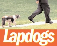 200_msm_lapdogs.jpg