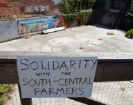 200_scf-solidarity_7-9-06.jpg